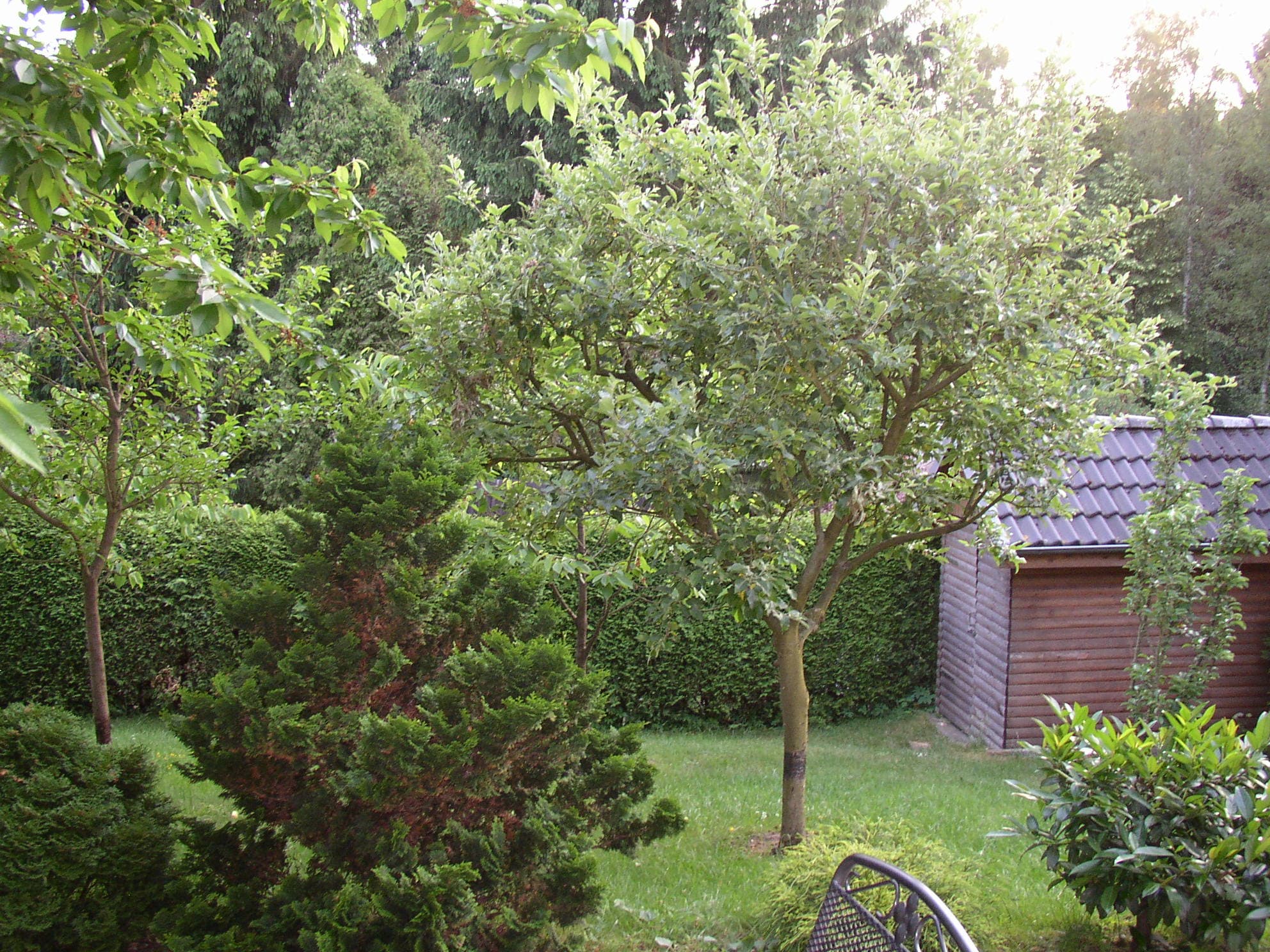 Garten der Ferienwohnung Buchholz-Nordheide/bei Hamburg