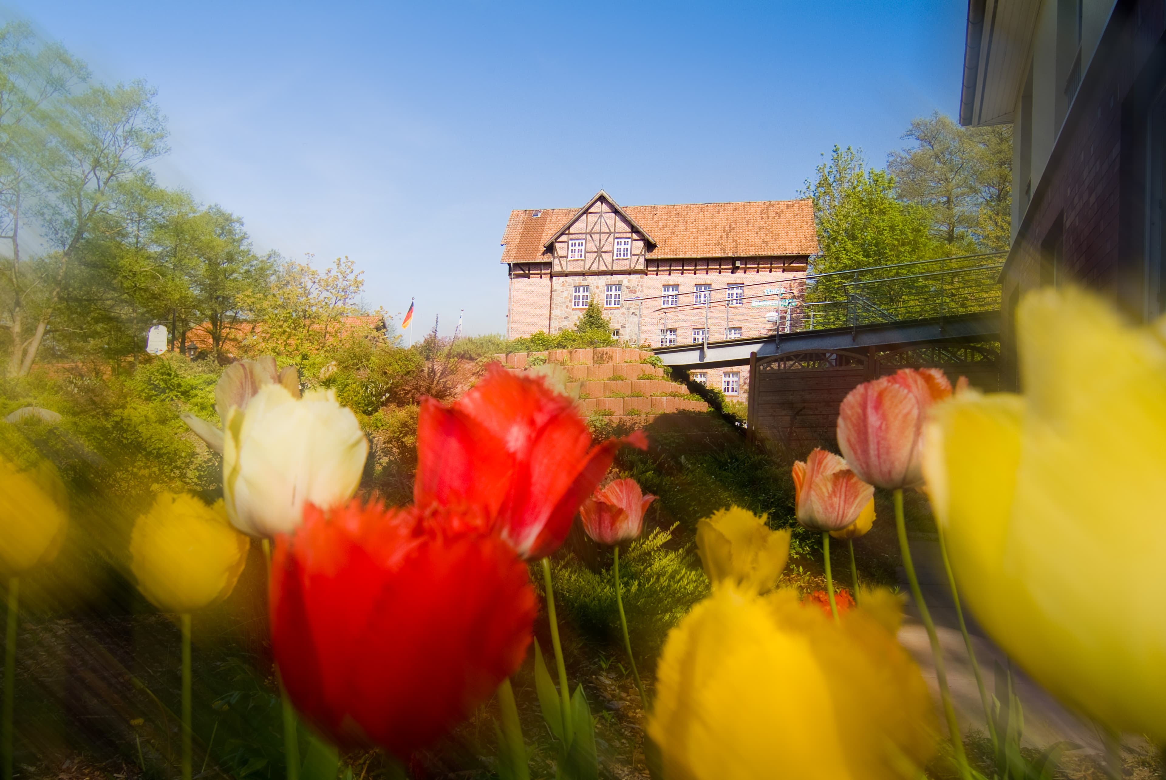 Blumenmeer Wassermühle Heiligenthal