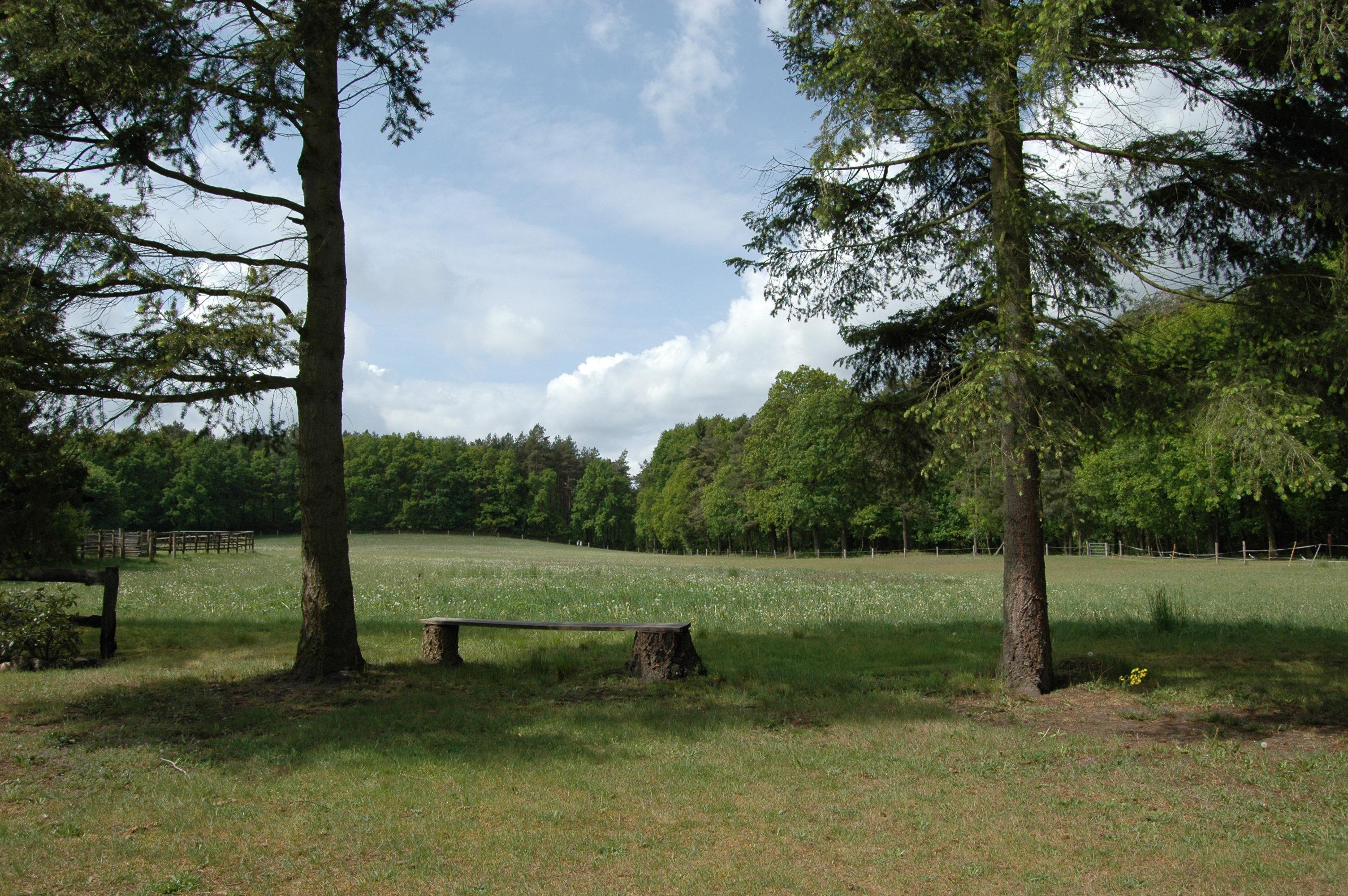 Blick ins Naturschutzgebiet Ferienhäuser Claudia Drewes 