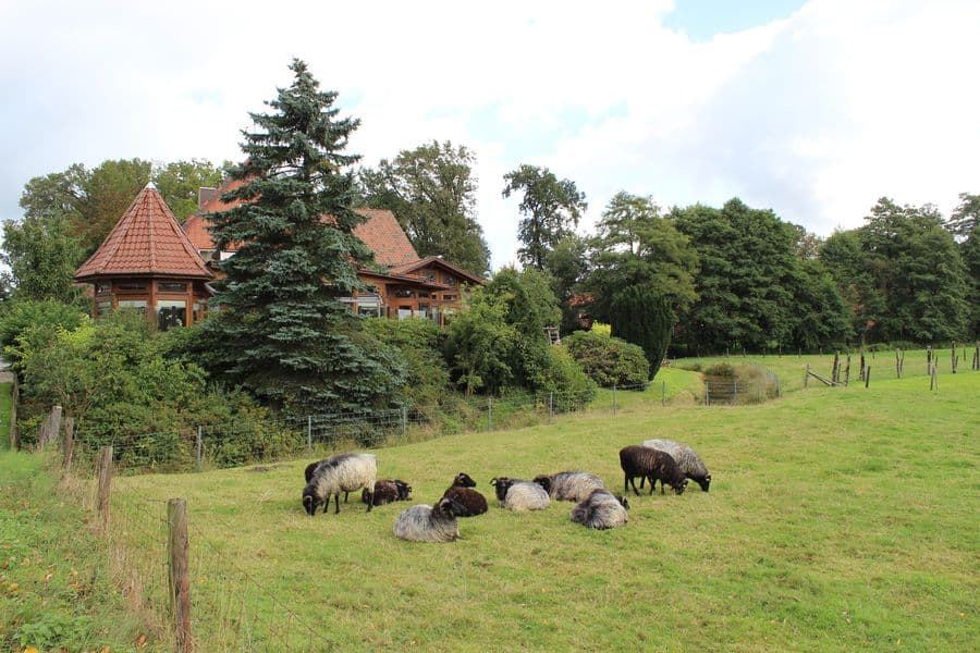 Hotel Im Wiesengrund Außenansicht