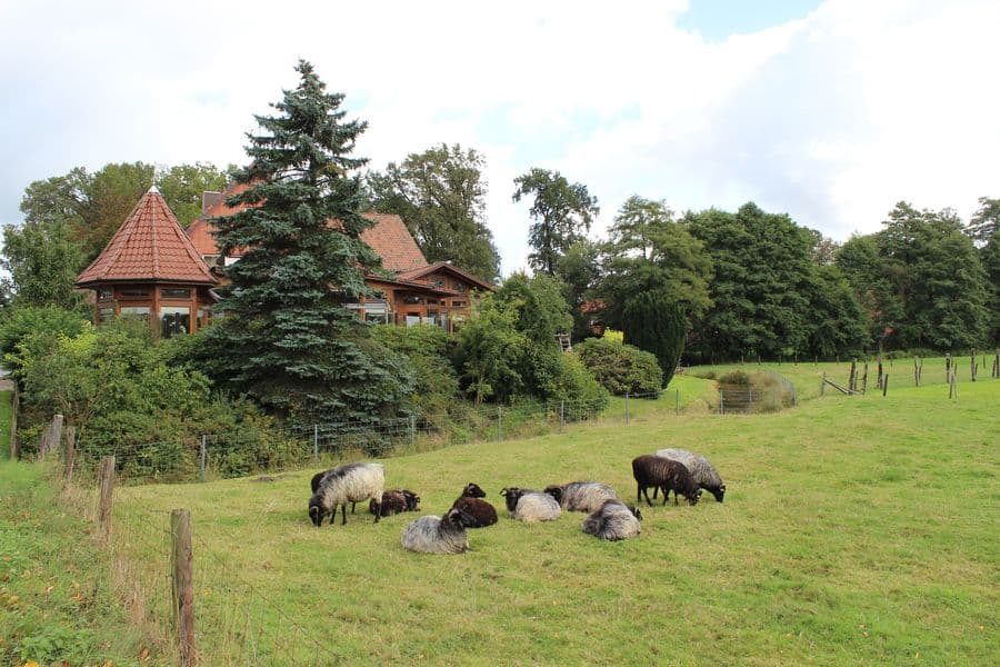 Landidylle am Hotel Im Wiesengrund