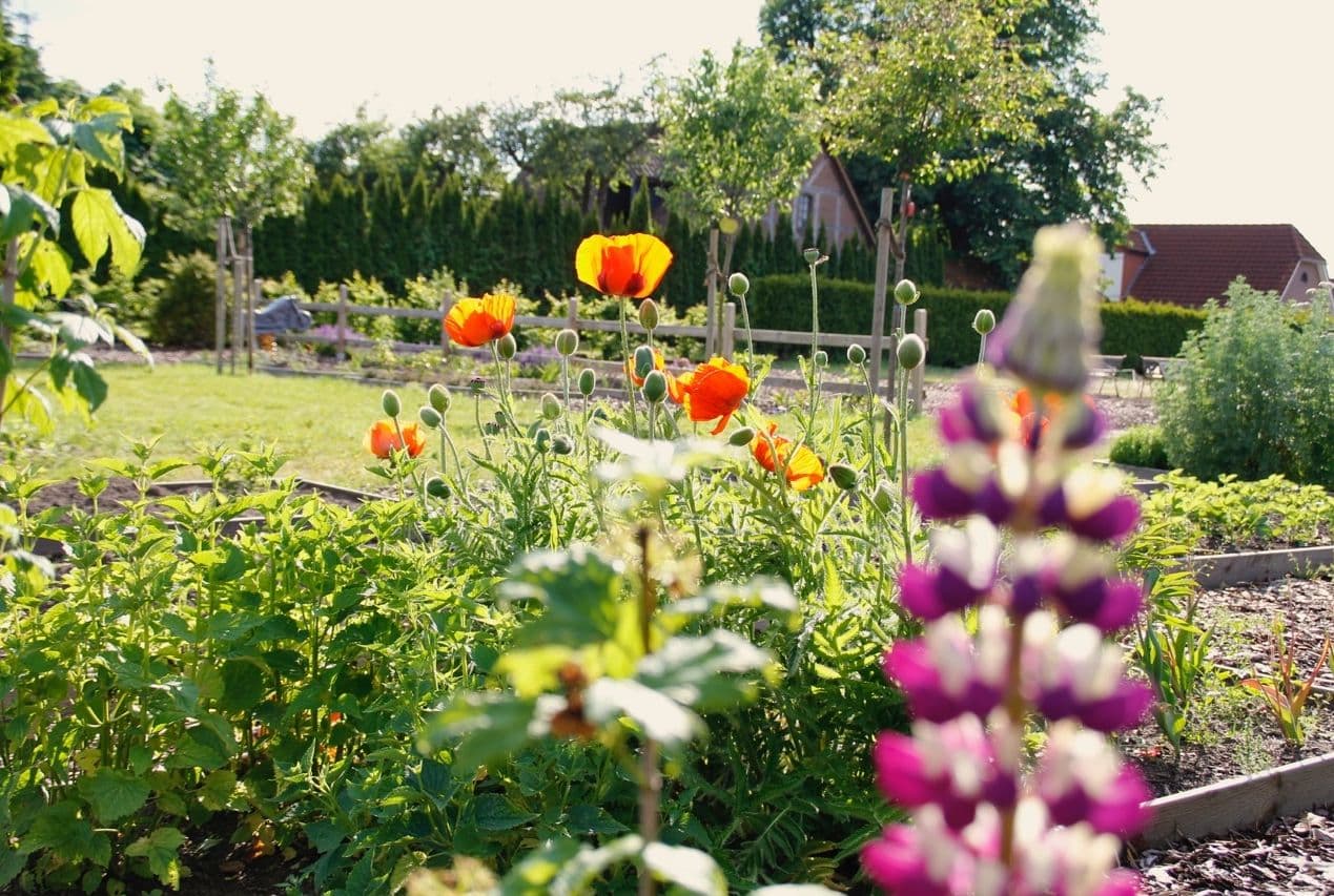 Garten Landhotel Franck 