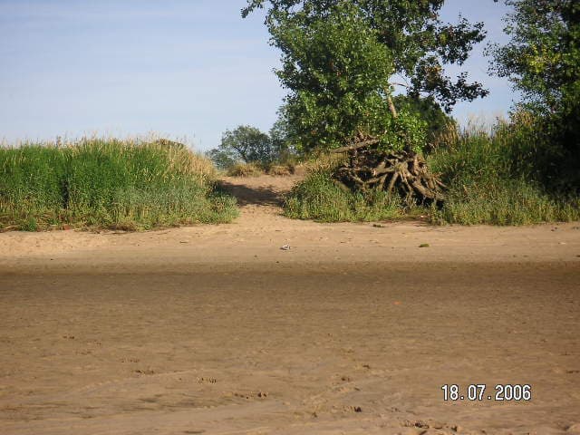 Ferienhaus an der Elbe