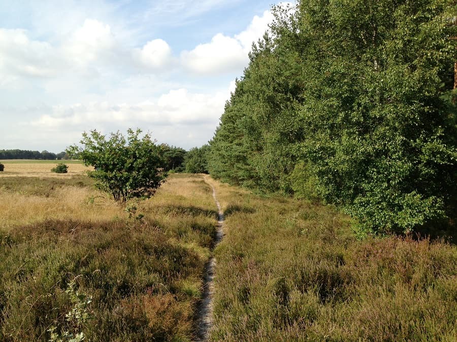 Dröger Heide beim Hotel-Restaurant Fuchs