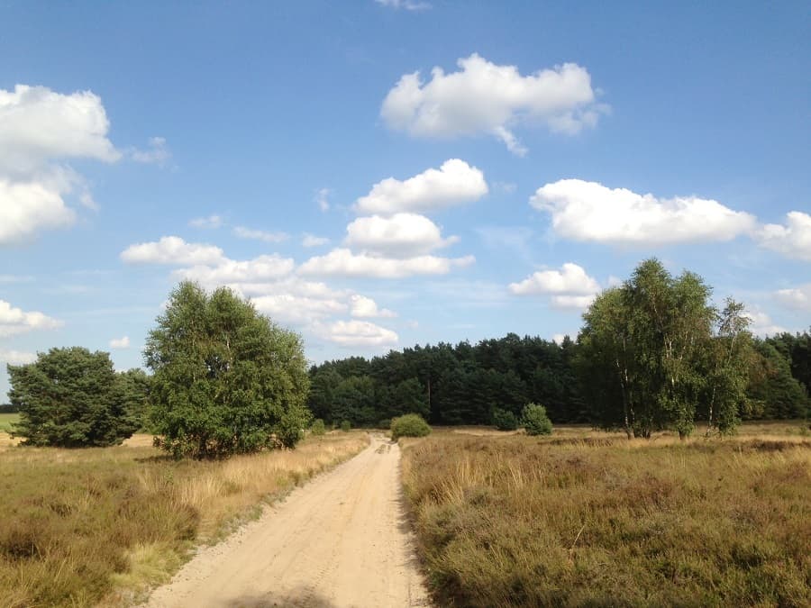 Dröger Heide beim Hotel-Restaurant Fuchs