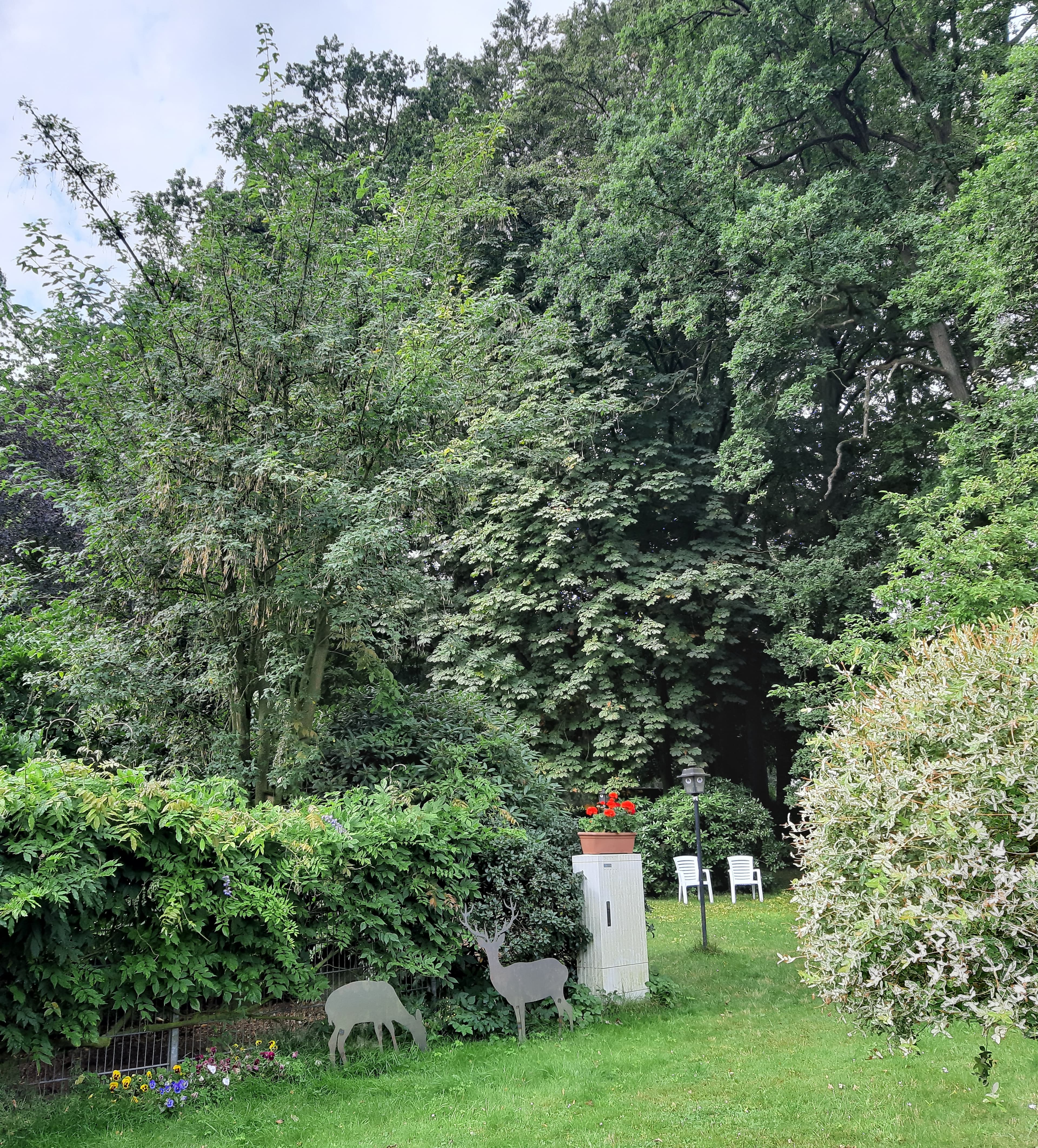 Garten der Gasthaus-Pension "Im Rehwinkel" in Soltau
