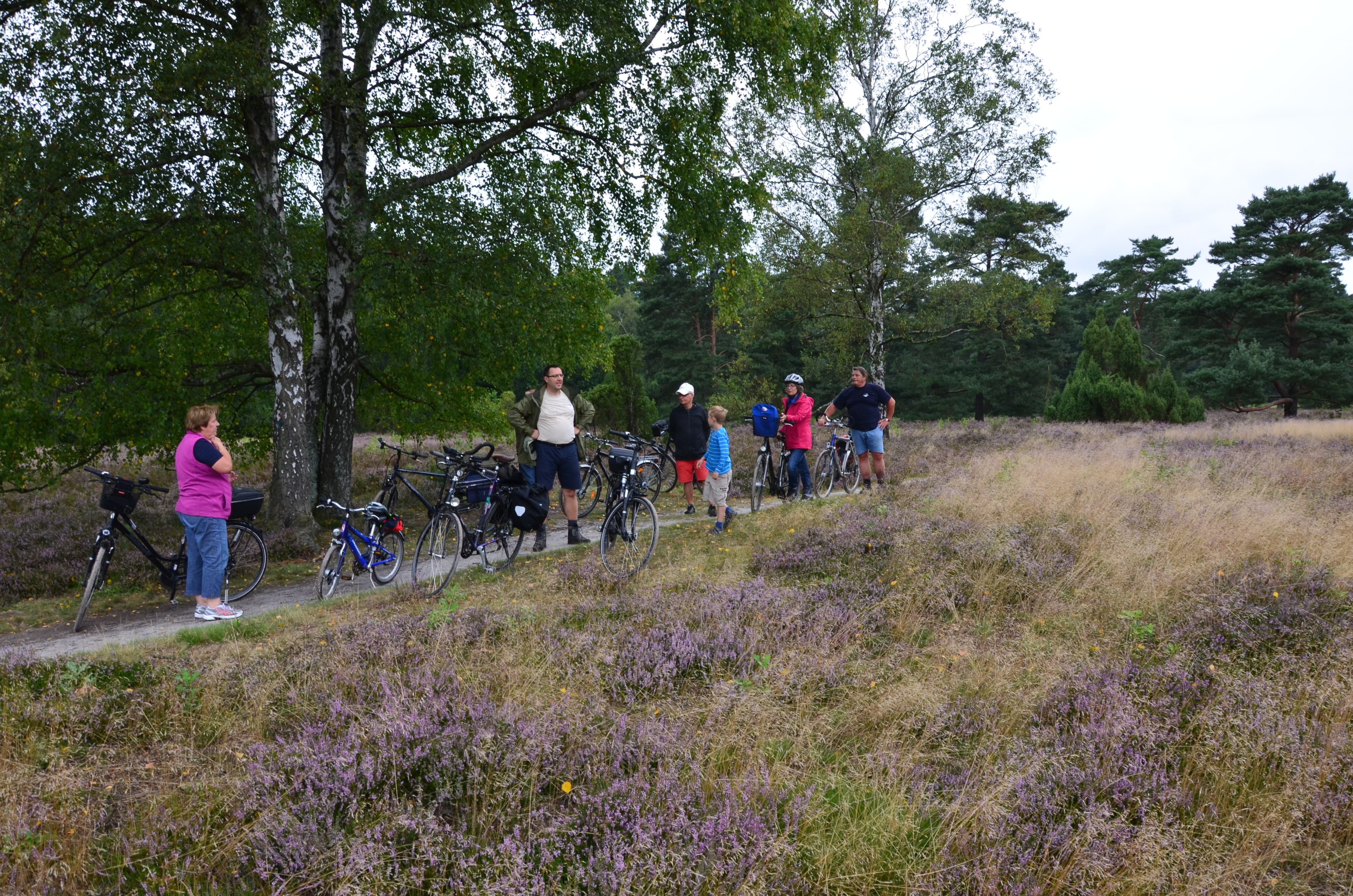 Geführte Radtouren in die Heide