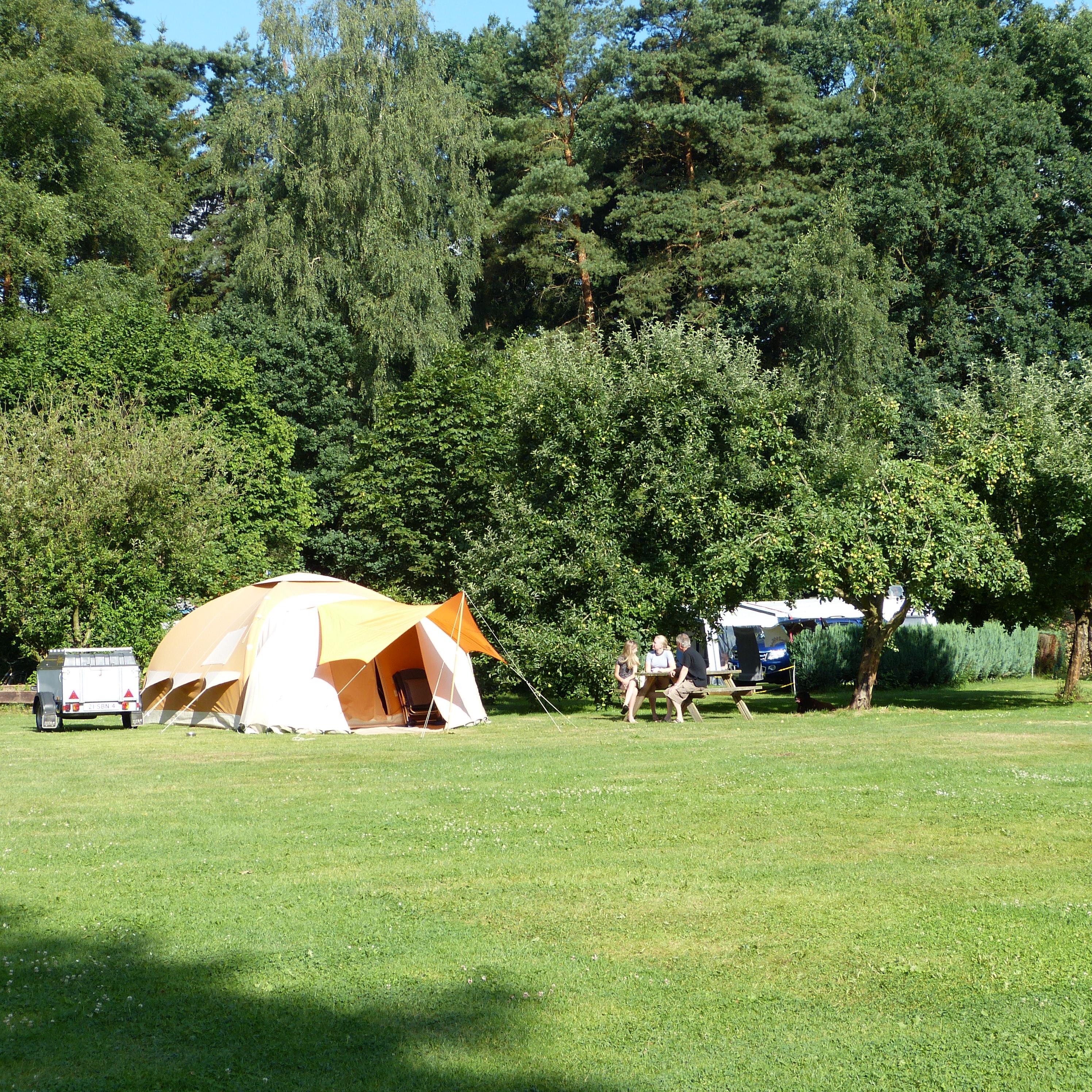 Oertzewinkel-Camping