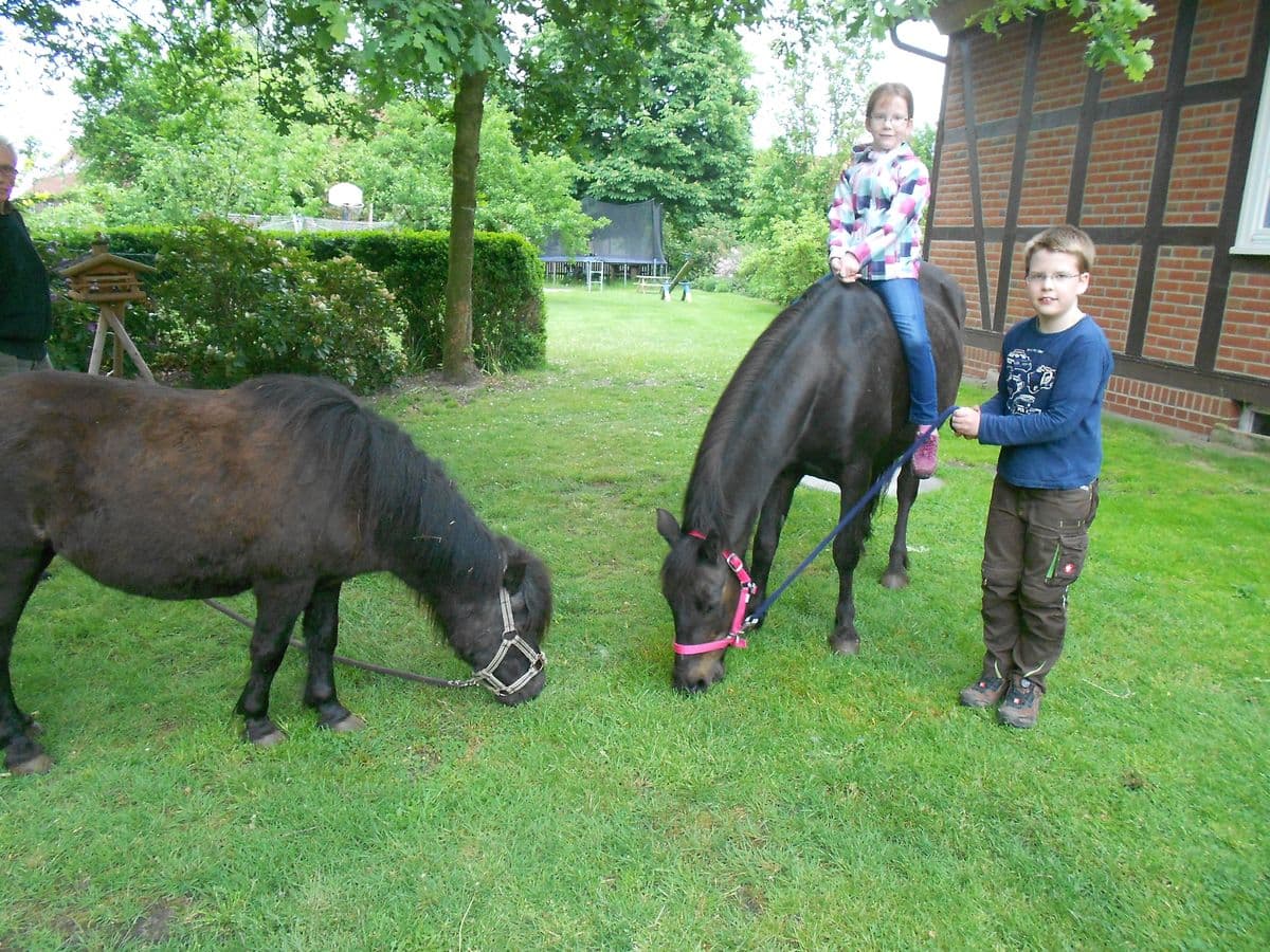 Ferienhof Fegebank Ponyreiten 