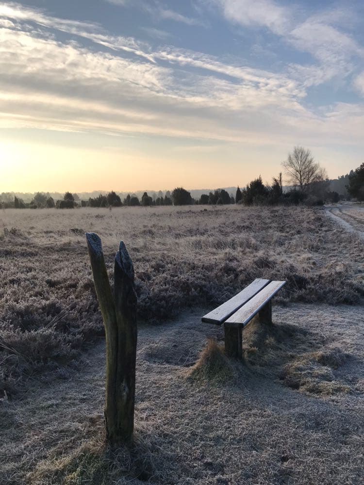 Heide im Winter bei der Ferienwohnung Garbers-Hof in Undeloh