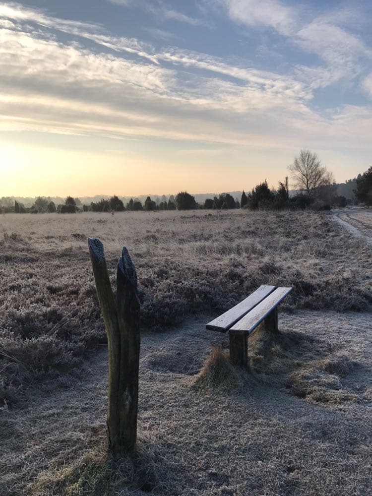 Ferienwohnung Garbers-Hof Heide im Winter