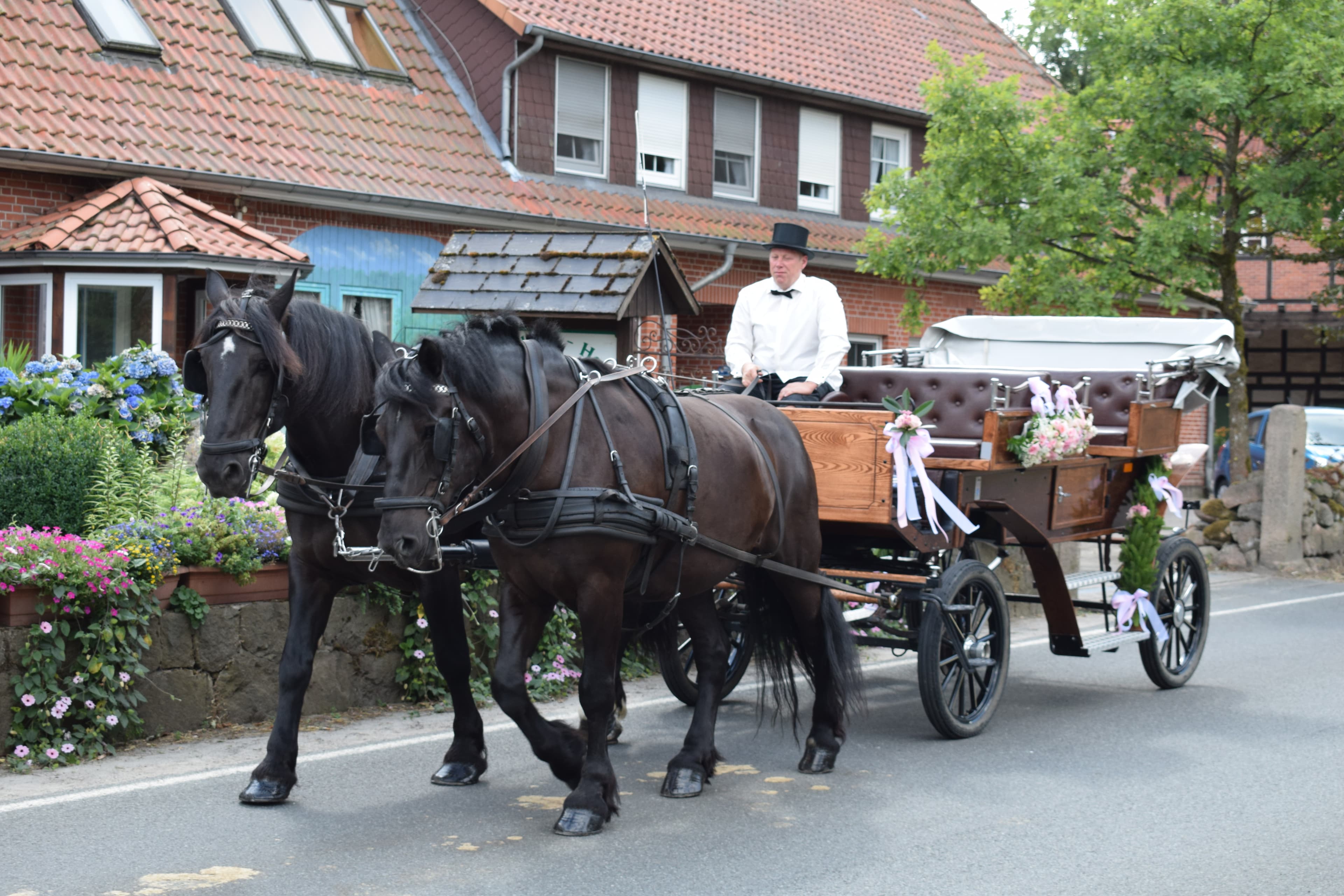 Hochzeitskutsche der Ferienwohnung Garbers-Hof in Undeloh