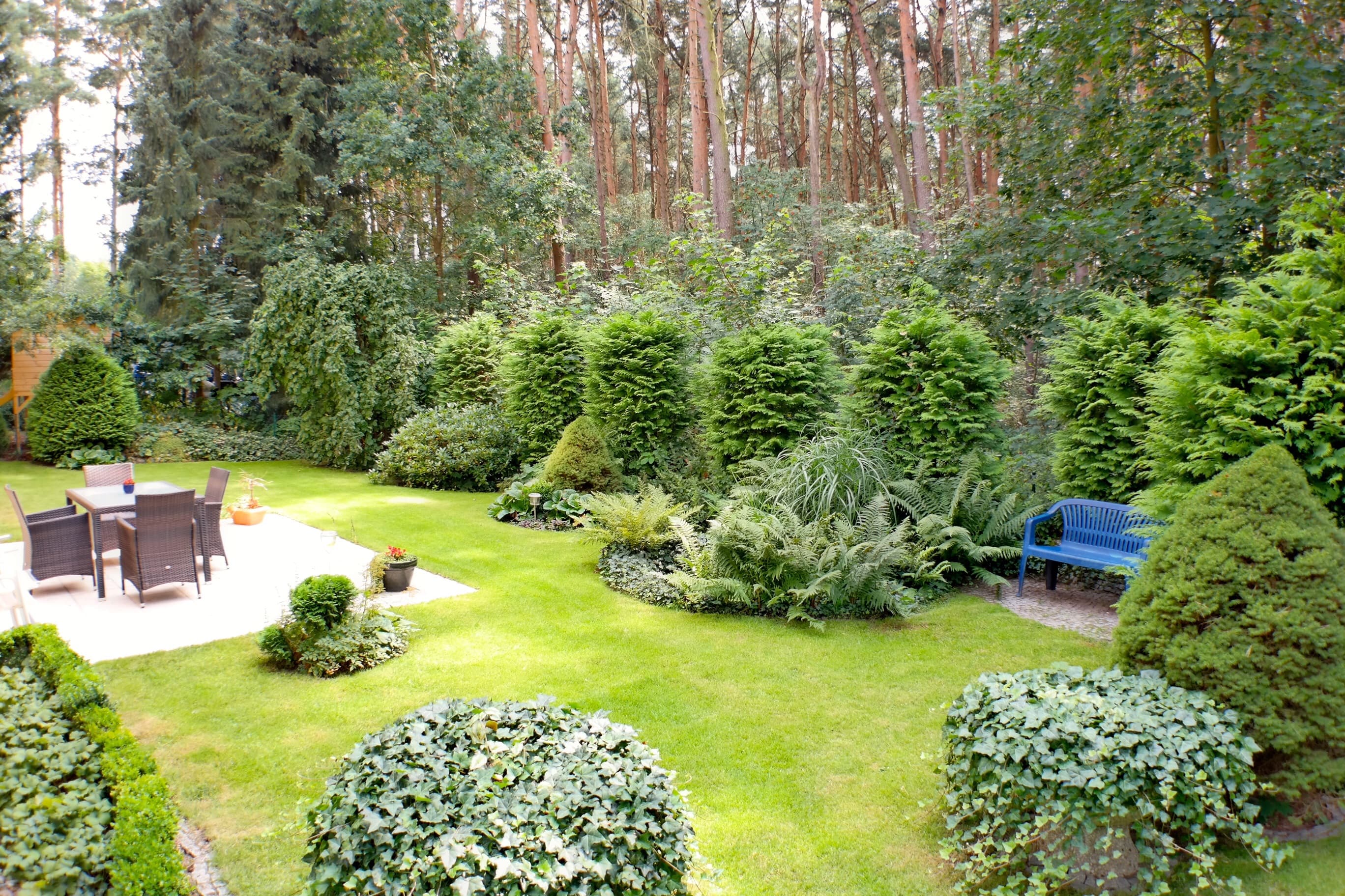 Ferienwohnungen Haus Heidelerche Bad Bevensen Lüneburger Heide