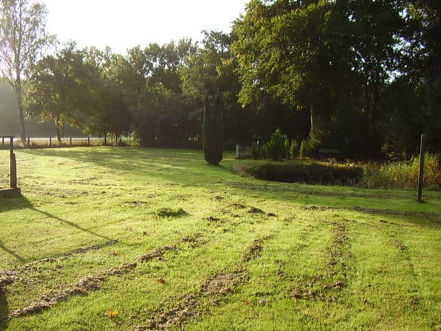 Privatpension Arends