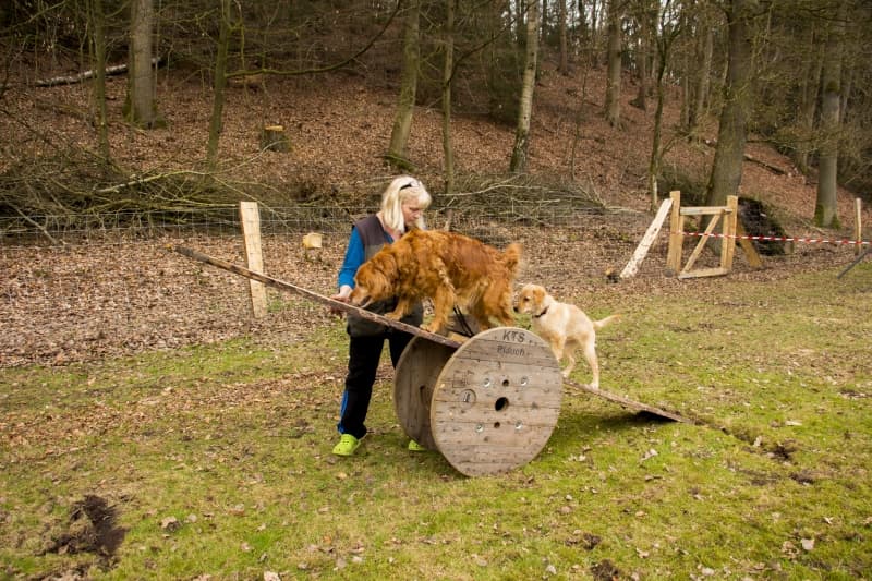 Wir wünschen unseren vierbeinigen Freunden viel Spaß beim Trainieren und ausgelassenen Herumtoben auf unserem Hundespielplatz! 