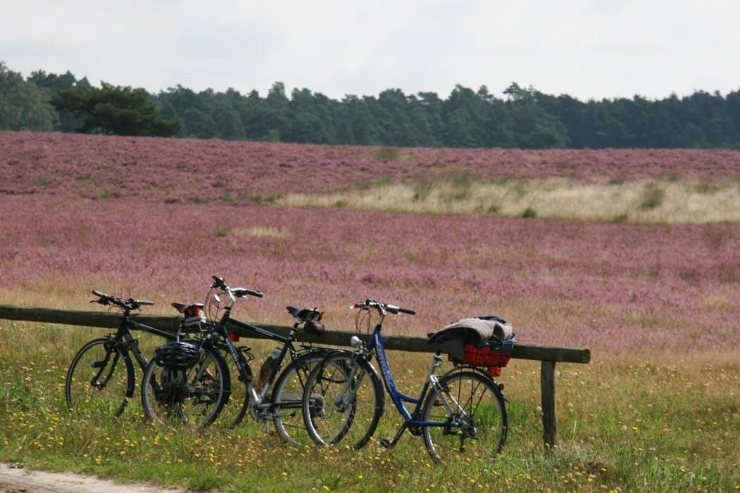 Mit dem Fahrrad durch die Heide