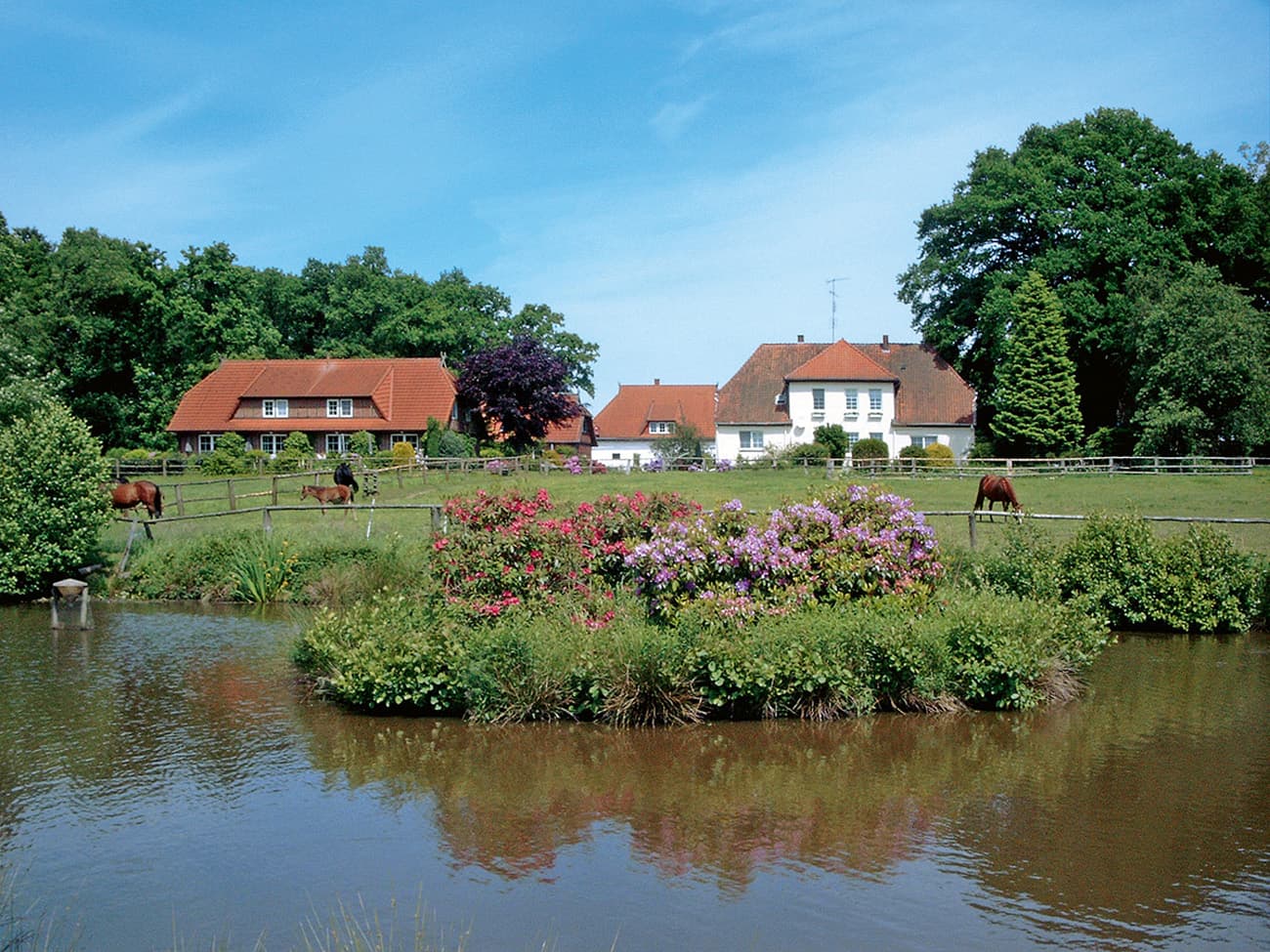 Außenansicht Ferienwohnung Alber`s Rosenhof