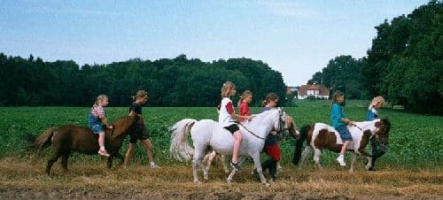 Ponyausritt Ferienwohnung Alber`s Rosenhof