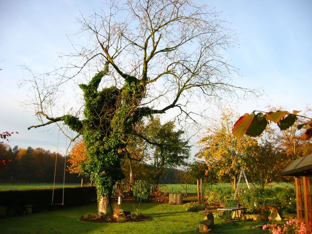 Gästezimmer in Texas