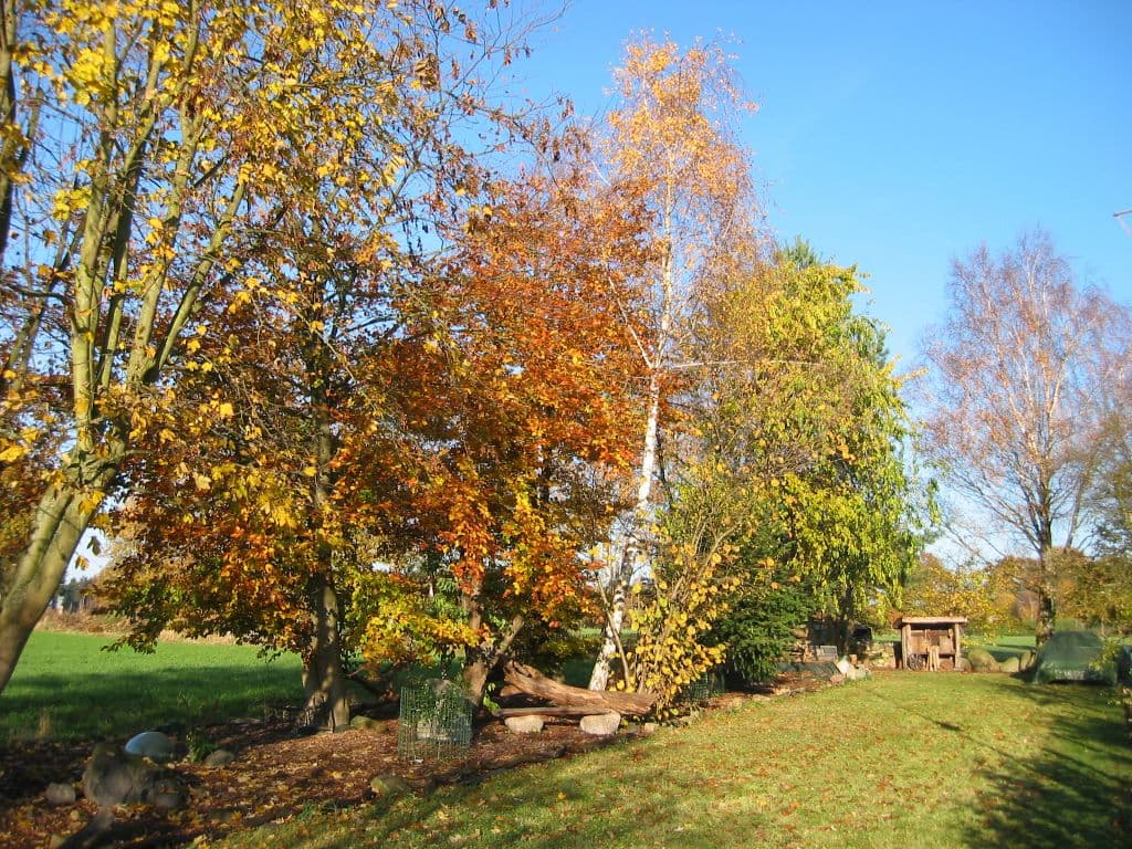 Gästezimmer in Texas
