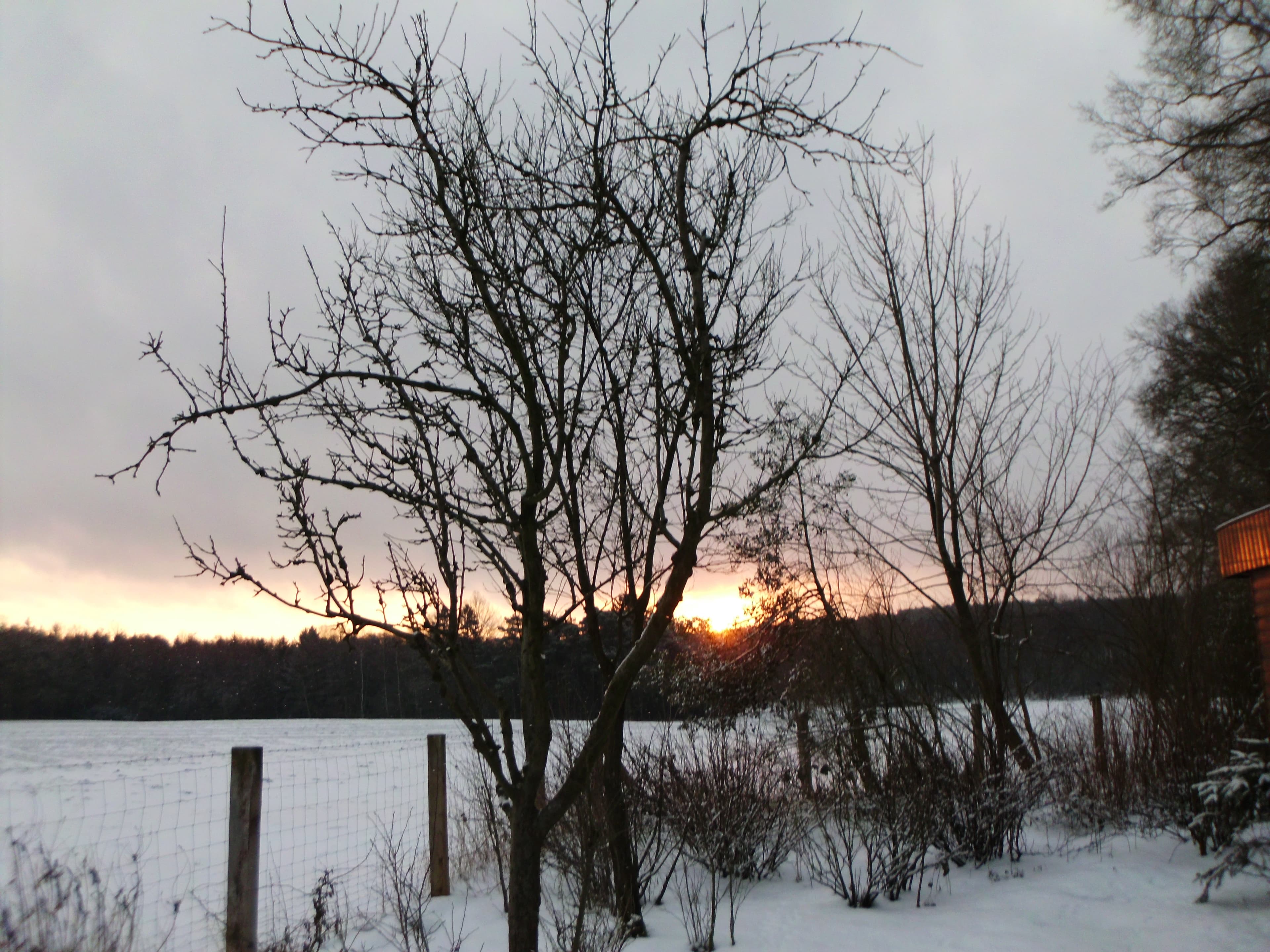 Gästezimmer Ferienhof Rademacher Sonnenaufgang