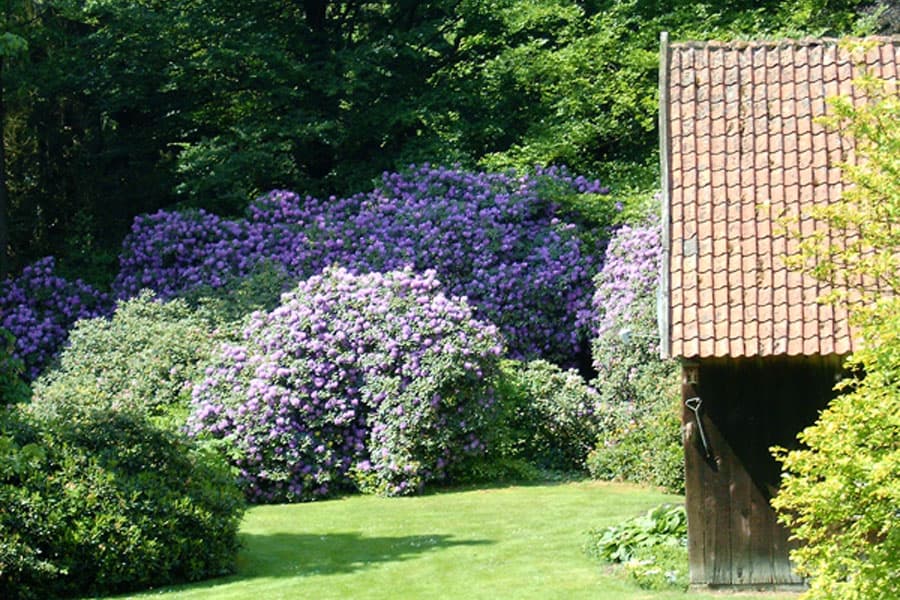 Garten Bauernhof-Ferien auf Volmers Hof