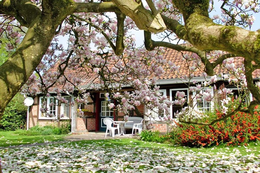 Ferienhaus Bauernhof-Ferien auf Volmers Hof