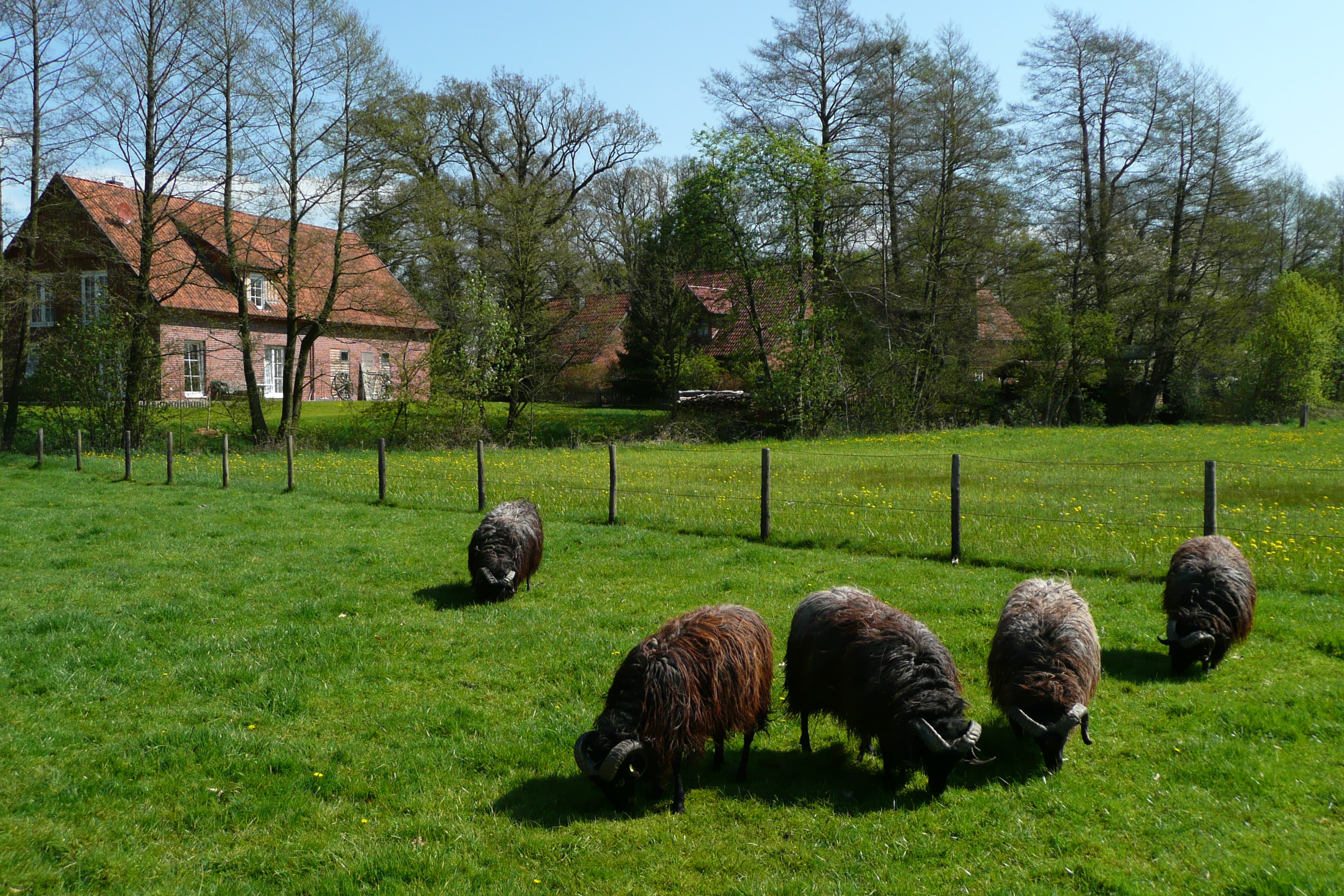 Ferienwohnungen vom Hotel Im Wiesengrund