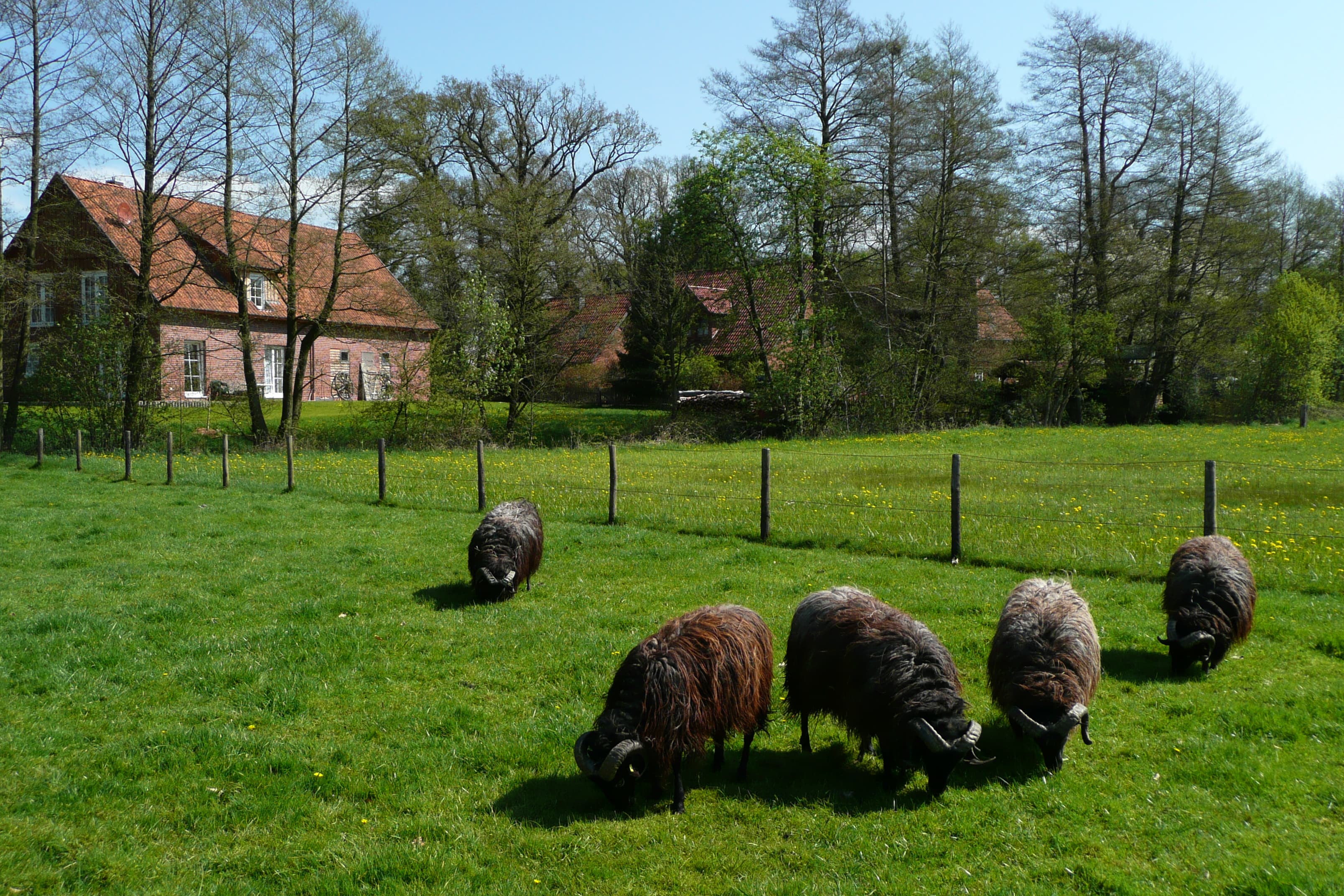 Außenansicht Ferienwohnungen vom Hotel Im Wiesengrund