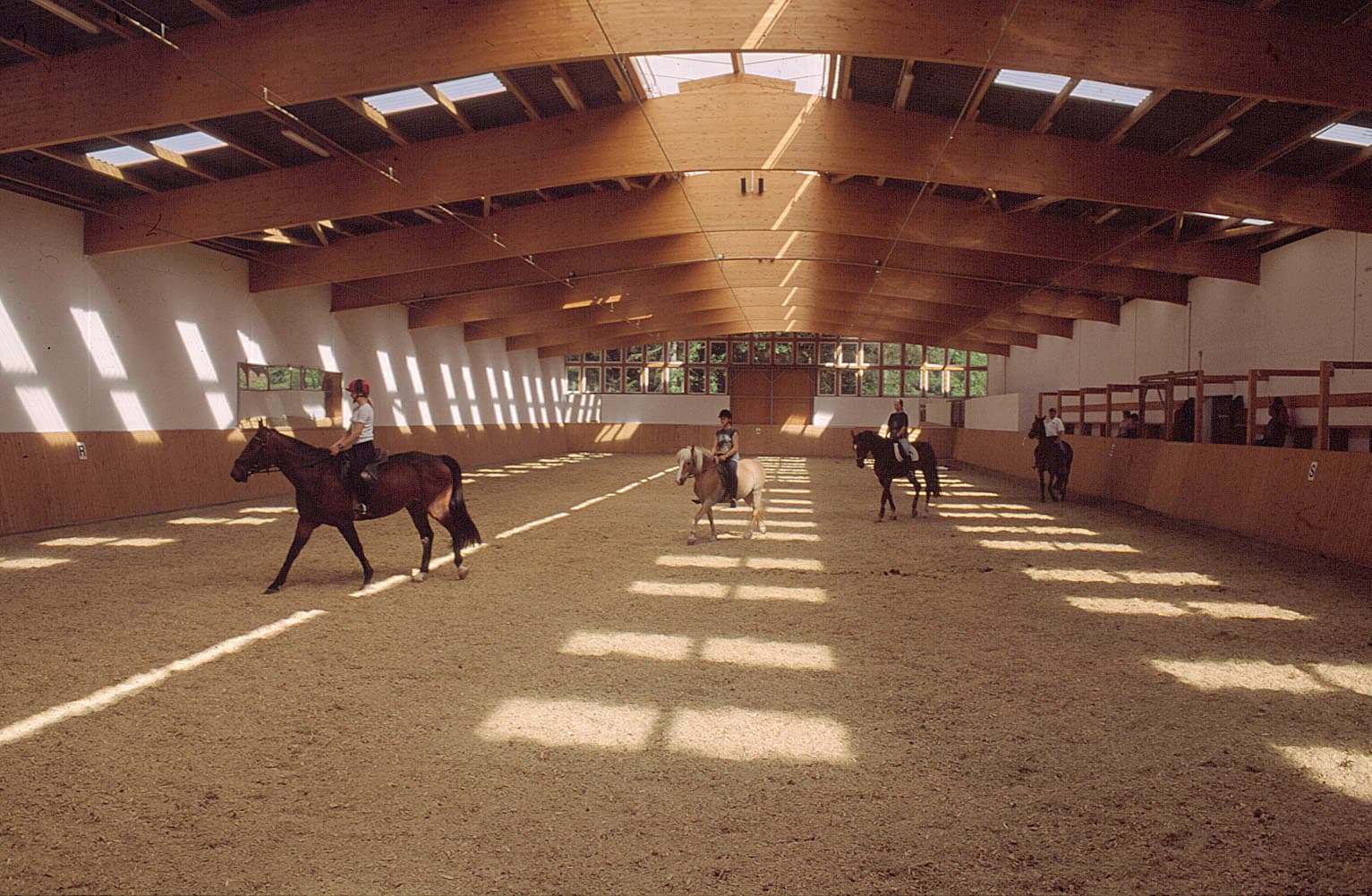 Hof Springhorn