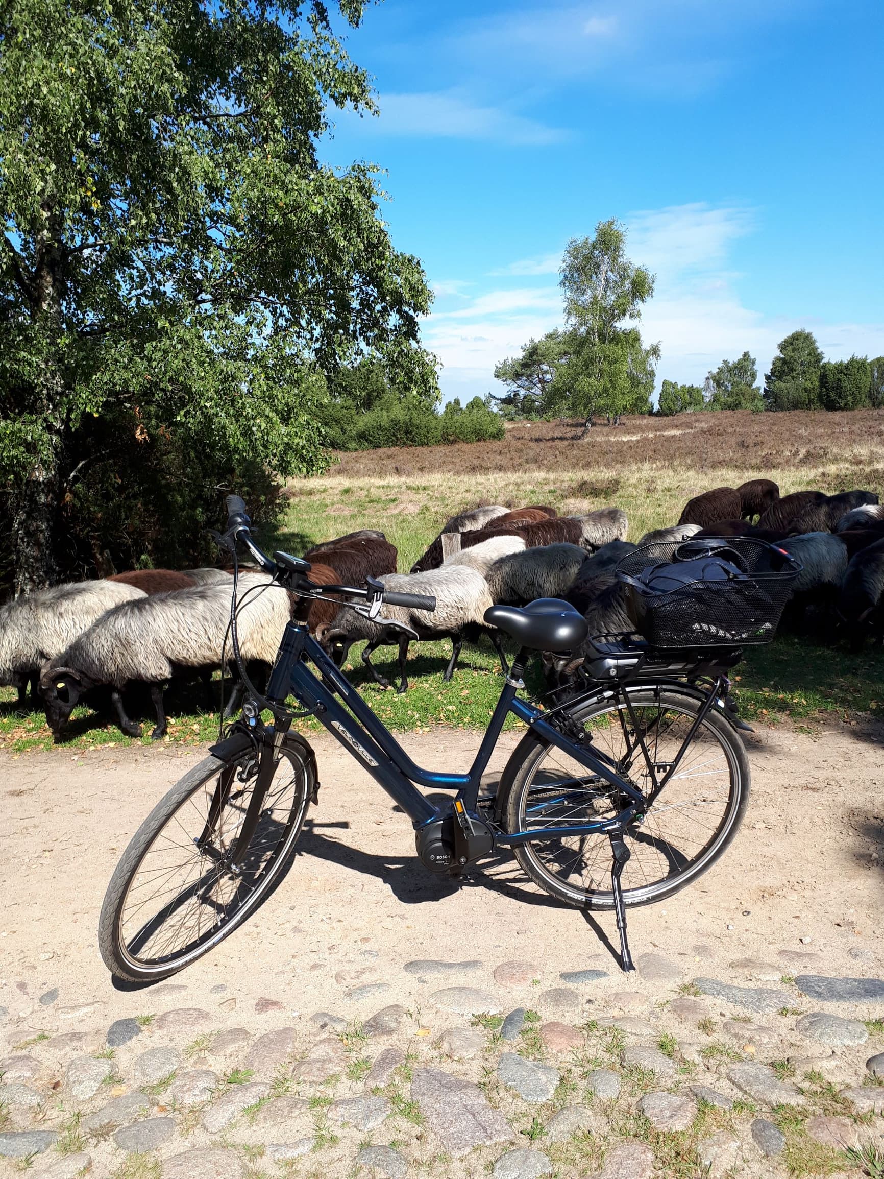 Schöne Radwege beginnen direkt am Mühlenhof