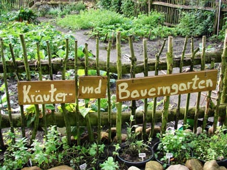 Kräuter und Bauerngarten Drewes-Hof