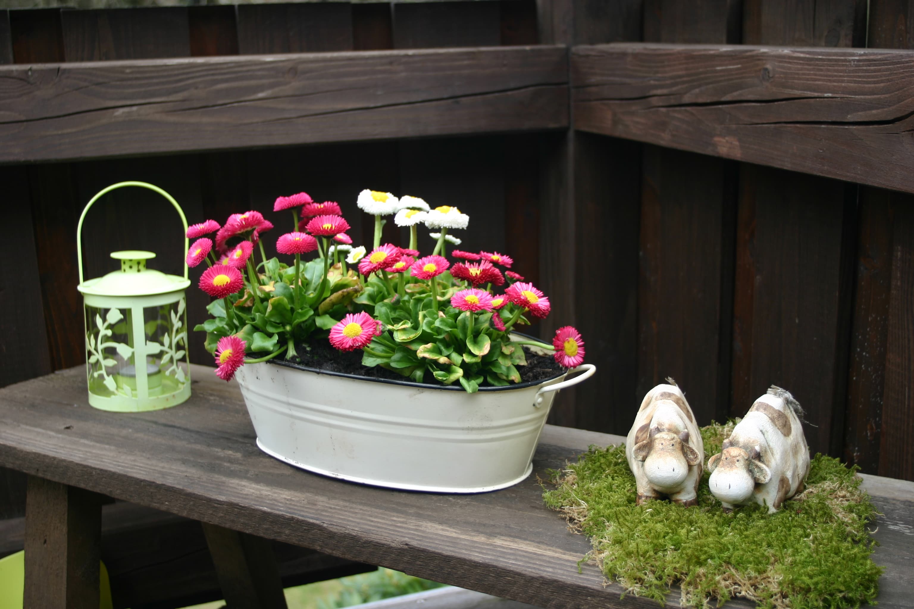 Ferienwohnung Bosselmann