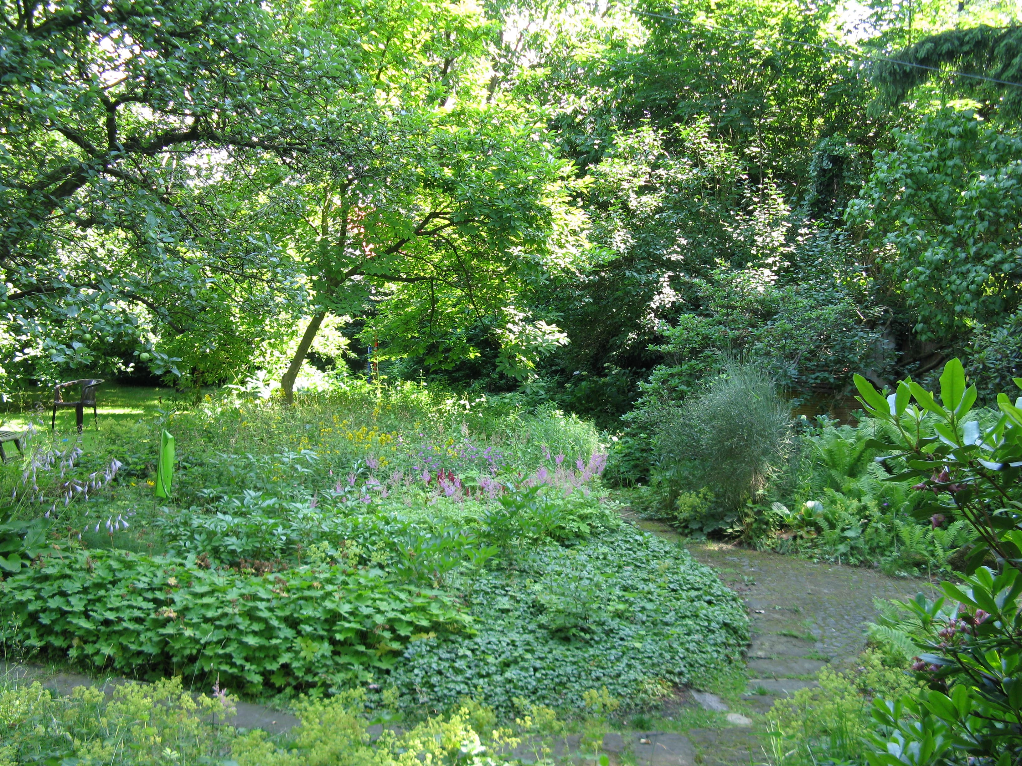Ferienwohnung Wildblume I und II garten