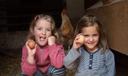 Kinder bei den Hühnern auf dem Reiterhof Cohrs in Bispingen