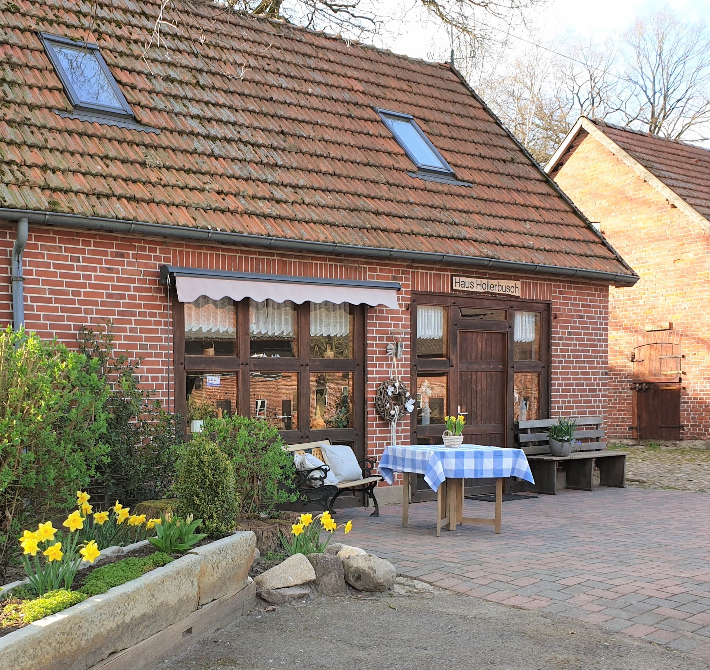 Außenansicht des Ferienhauses Hollerbusch des Reiter- und Ferienhof Cohrs in Bispingen