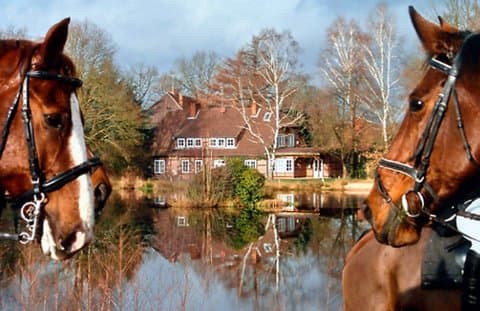 Wilkommen auf dem Reiterhof Severloh