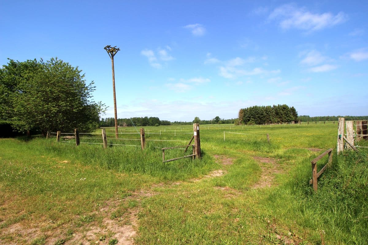 Weite Weiden- und Wiesenlandschaft
