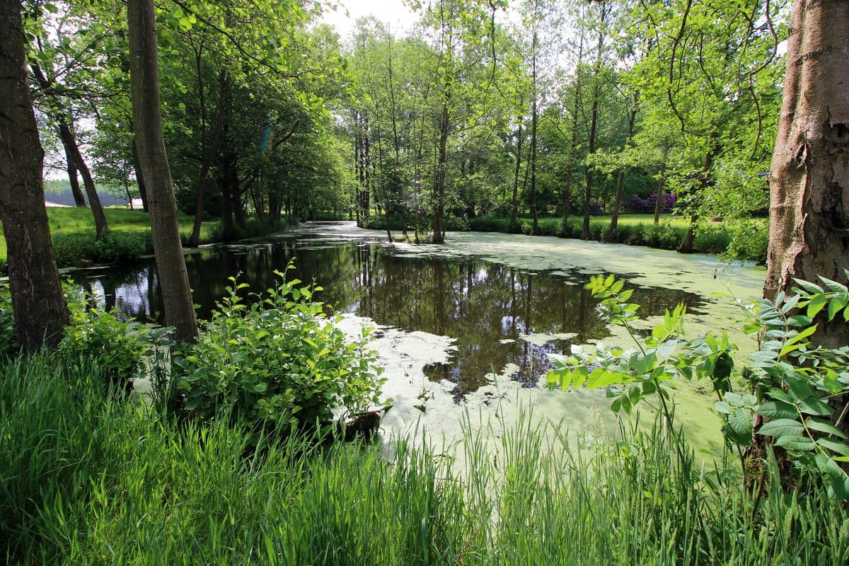 Natursee auf dem Heidegut Eschede