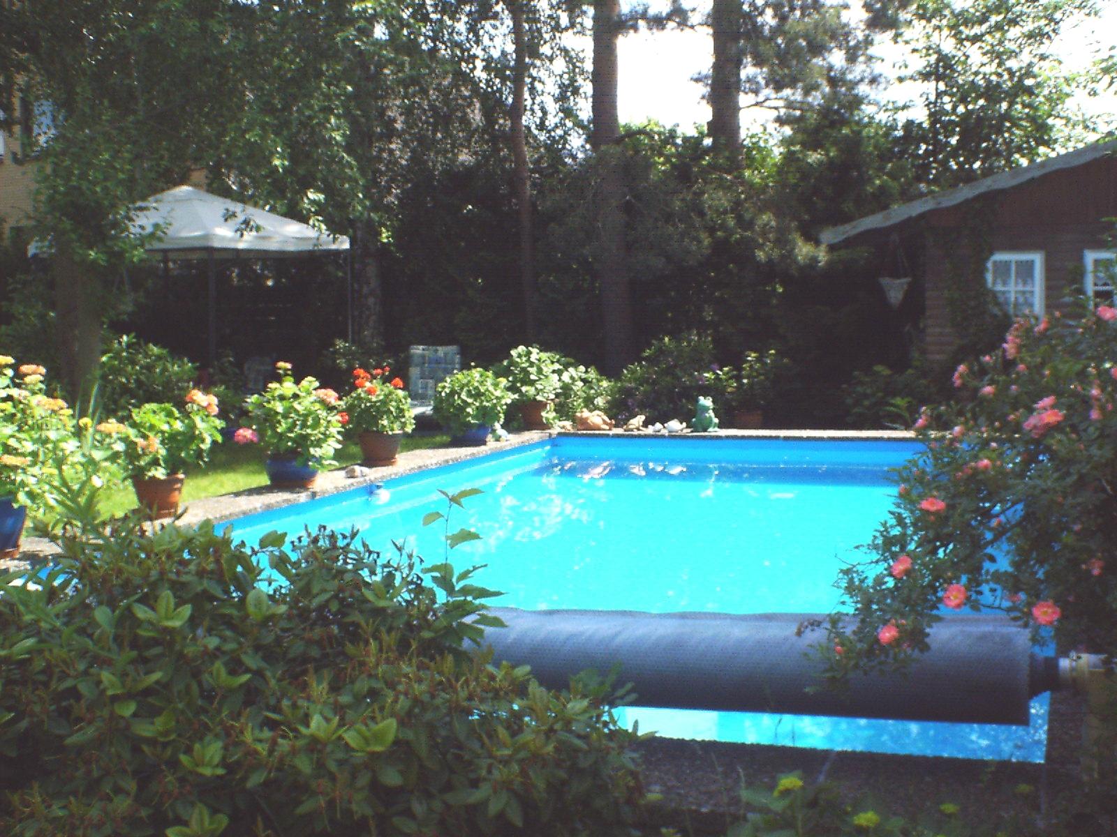 Garten mit blauem Pool und Pavillon Ferienhaus "Unter den Birken"
