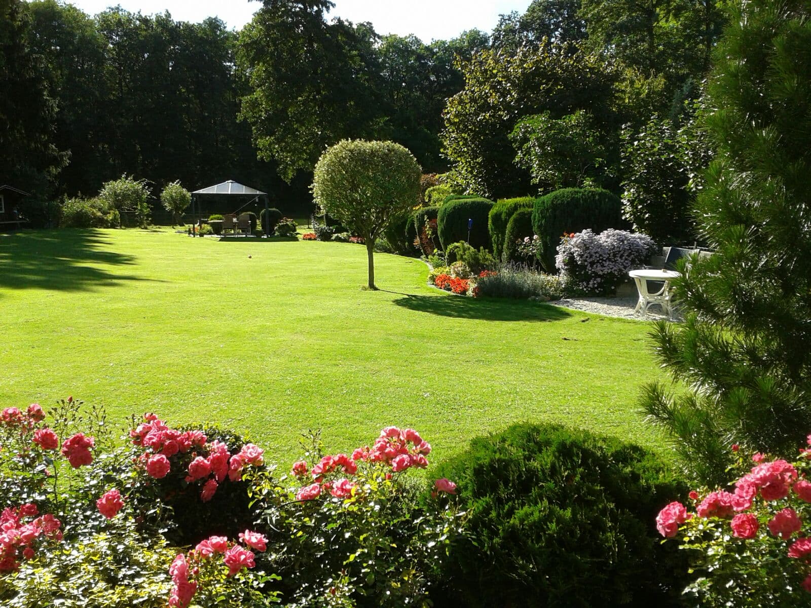 Garten der Ferienwohnung Haus am Schwanenteich in Lüneburg
