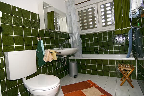 Badezimmer Ferienwohnung Pension am Hardausee