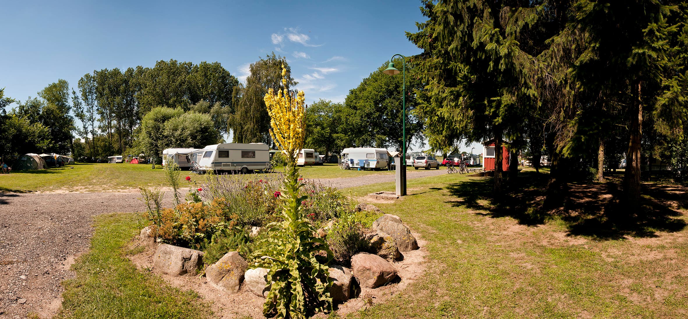 Wiese am Camping Land an der Elbe Hamburg