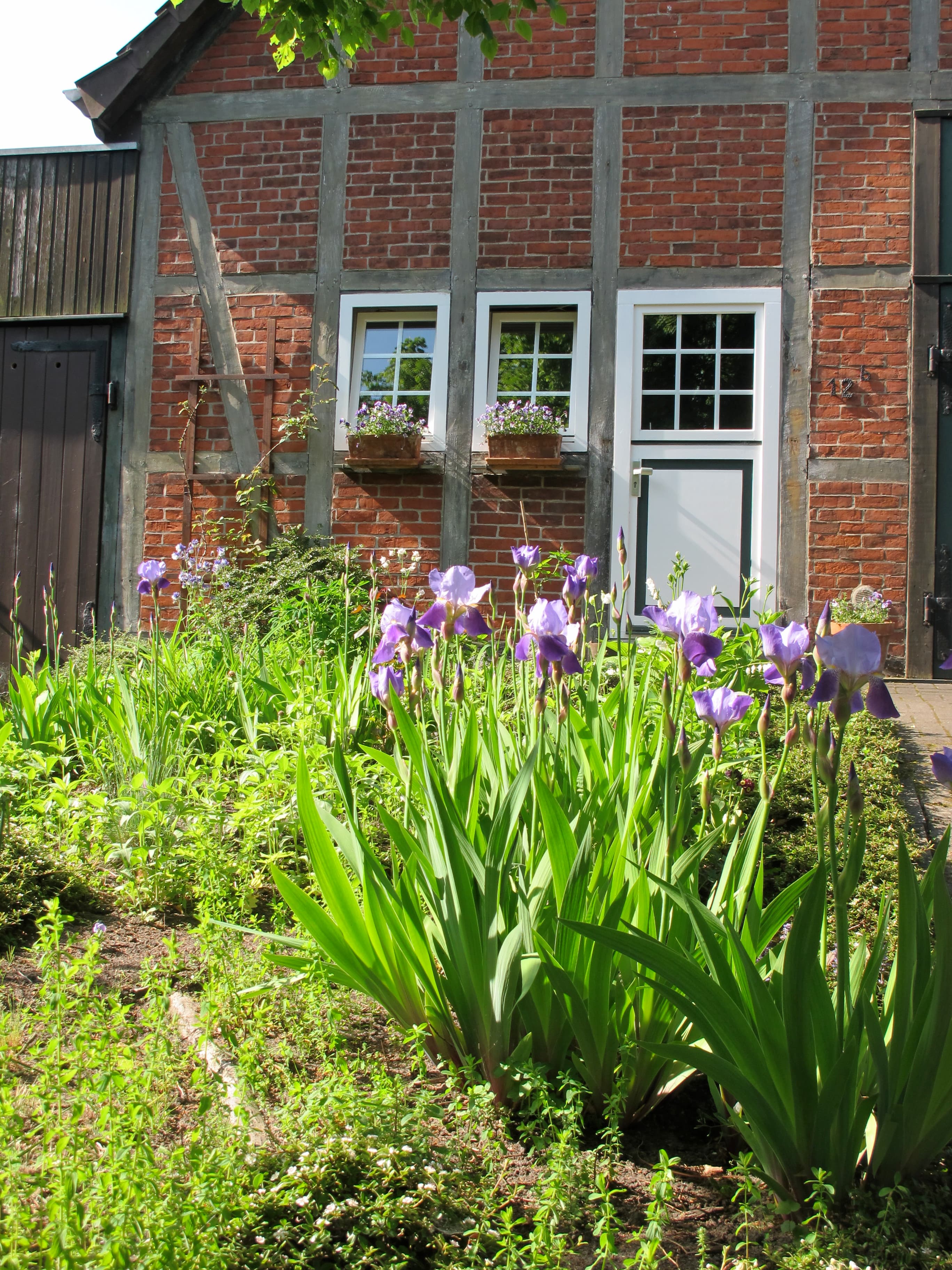 Ferienhaus Kockenhof