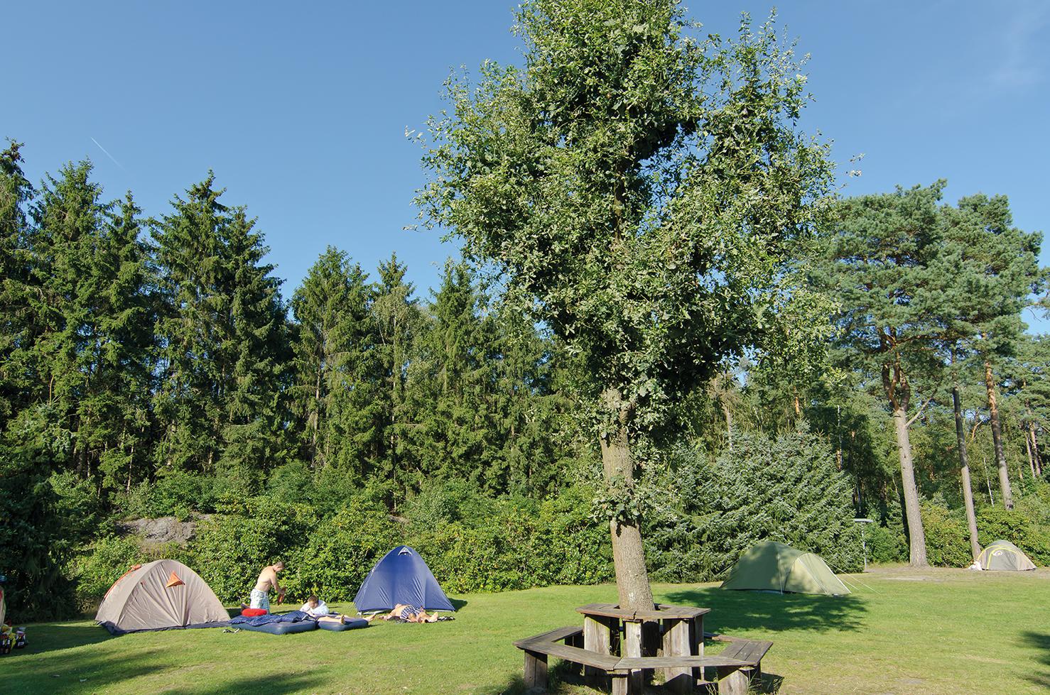 Zeltwiese auf dem Campingplatz Auf dem Simpel in Soltau