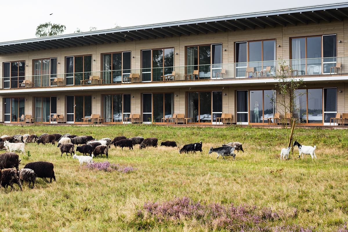MehrBlick-Zimmer mit Schnuckenbesuch im Hotel Camp Reinsehlen