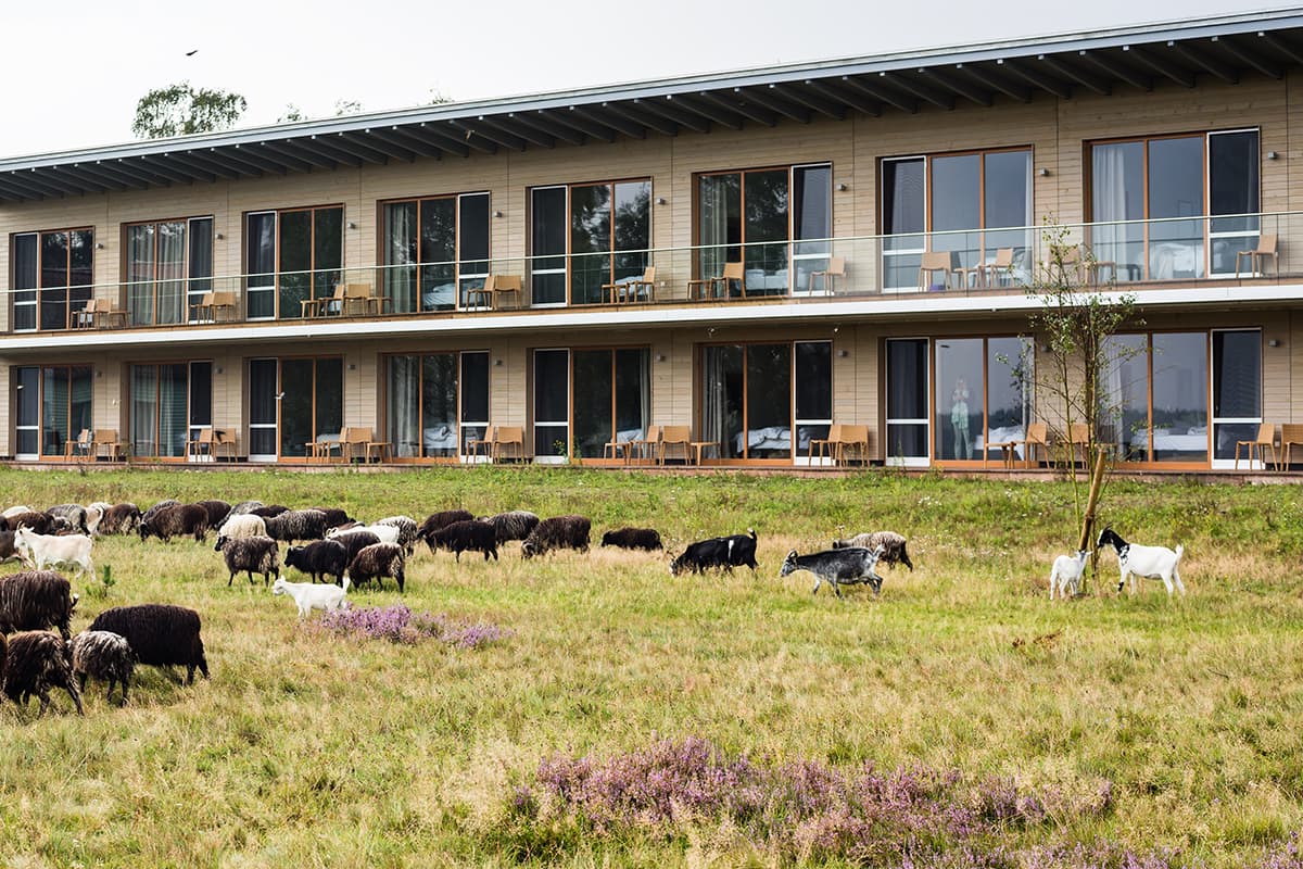 MehrBlick-Zimmer mit Schnuckenbesuch