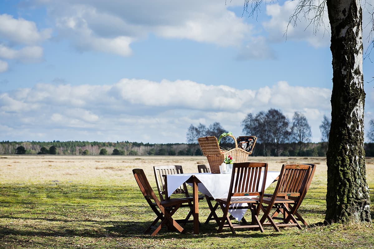 Picknick im Camp