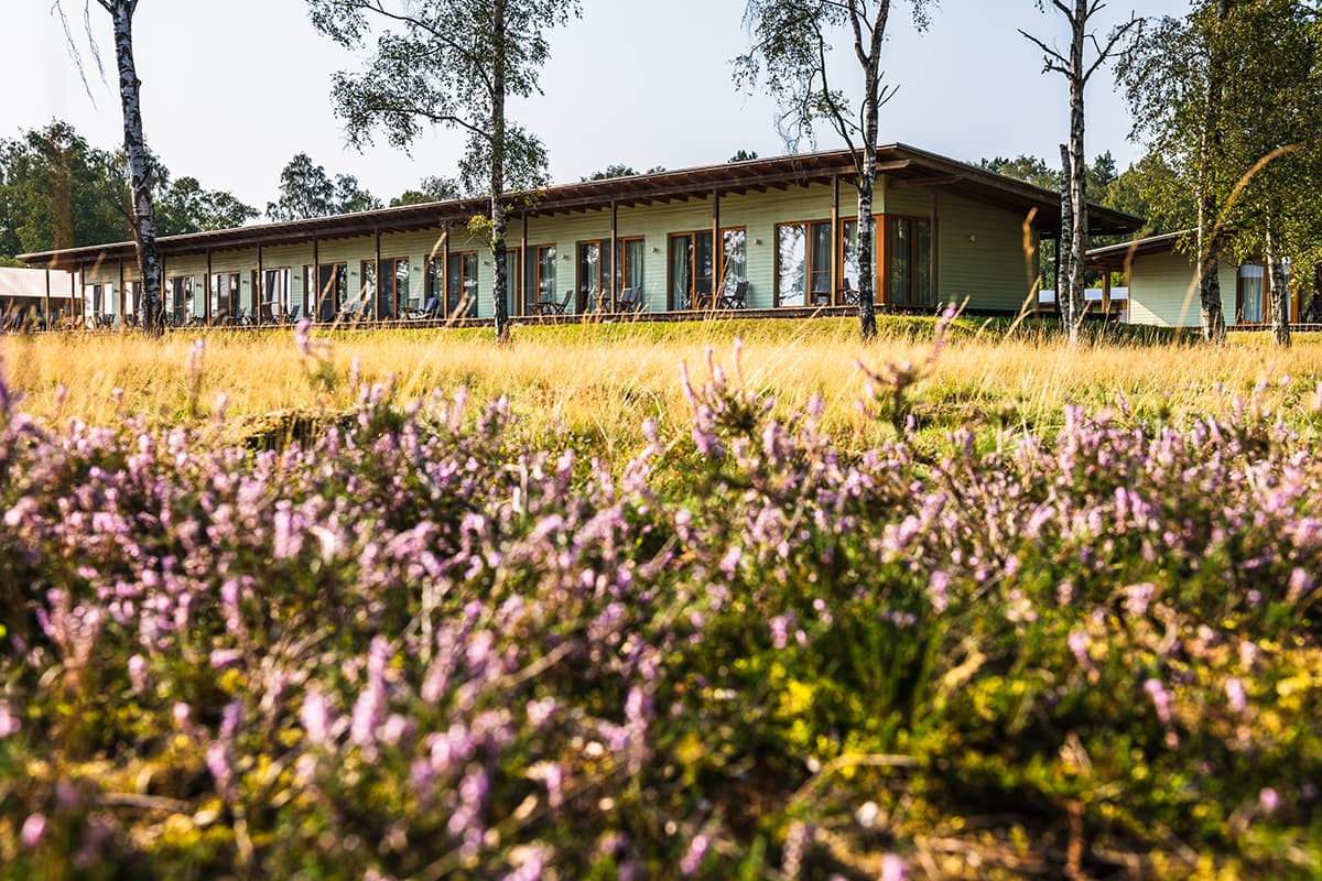 Natur genießen im Hotel Camp Reinsehlen