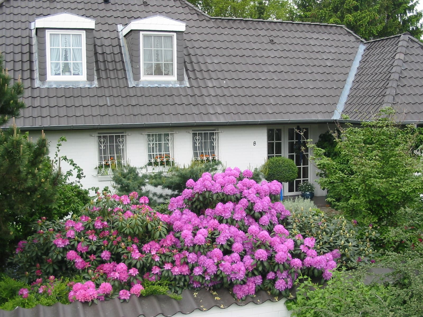 Gästezimmer Waldblick